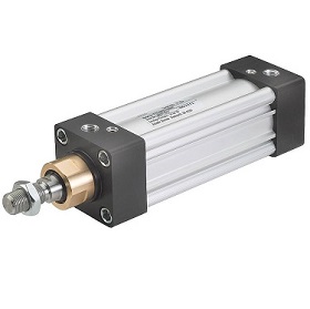 Parker P1D ISO Cylinders